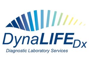 DynaLIFE revised