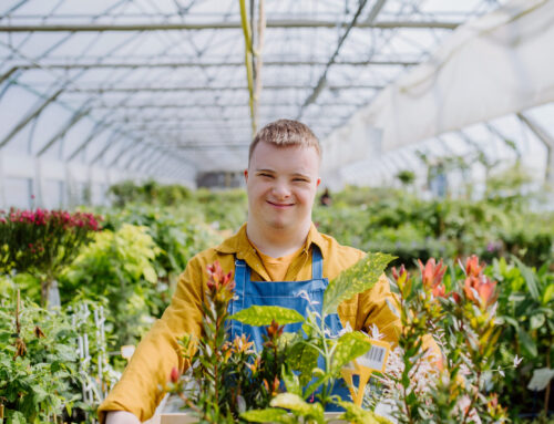 Tips for Applying for Seasonal Employment This Summer
